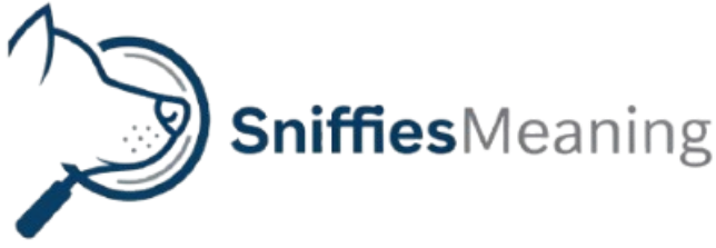 sniffiesmeaning.com