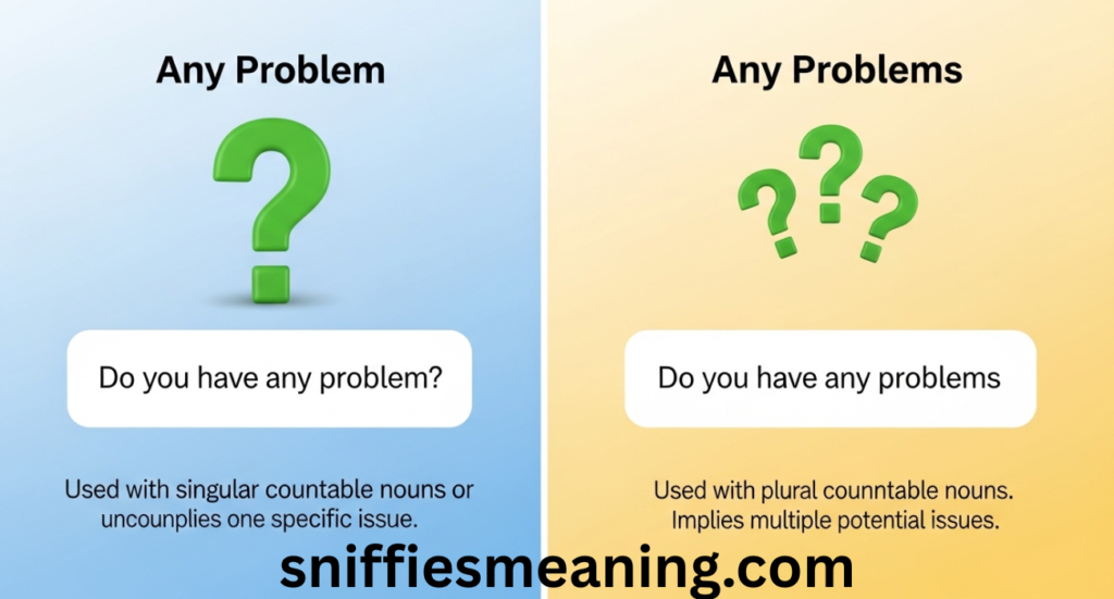 Any Problem or Any Problems – How to Use Them Correctly in English