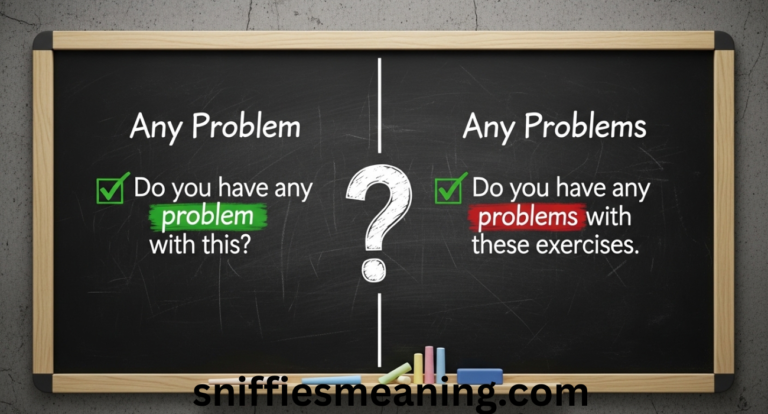 Any Problem or Any Problems – How to Use Them Correctly in English