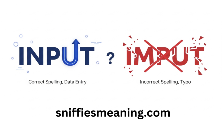 “Input” or “Imput”: Which One Is Correct and Why It Matters