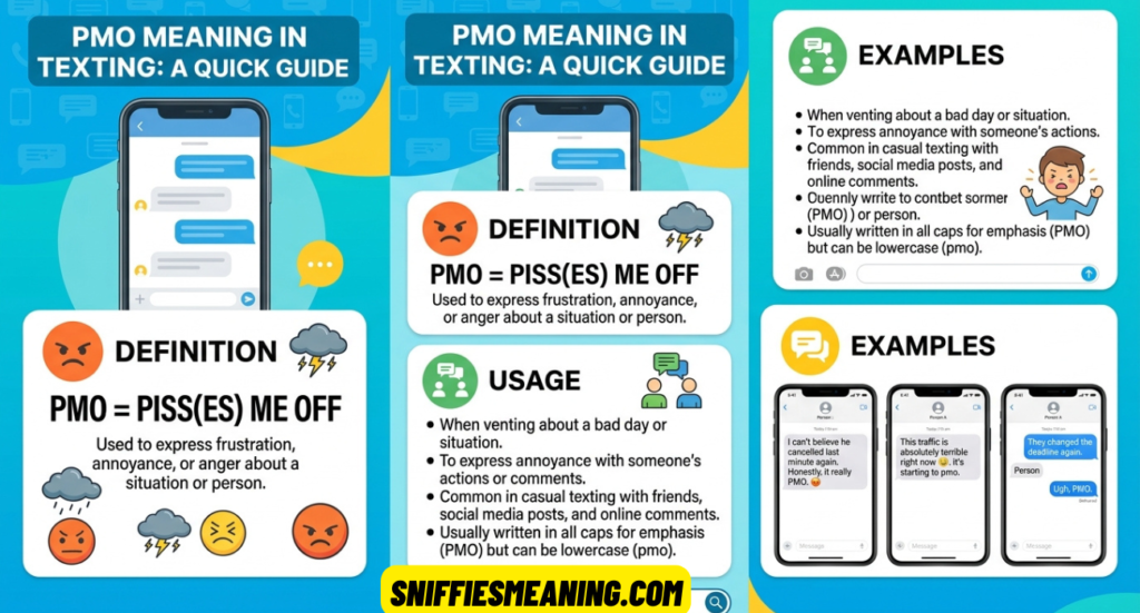 PMO Meaning Texting: What It Means, How to Use It, and Examples