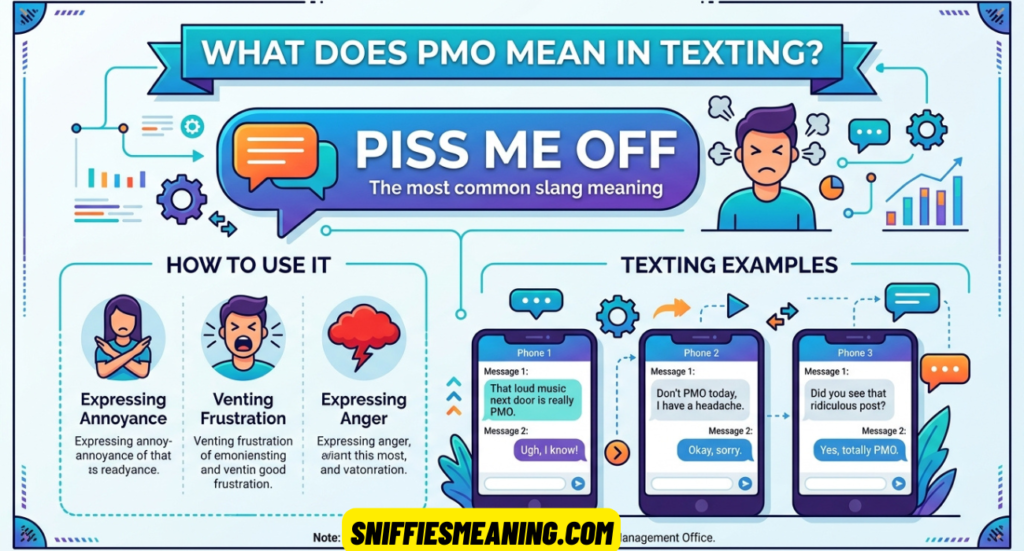 PMO Meaning Texting: What It Means, How to Use It, and Examples